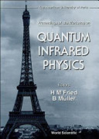 Quantum infrared physics : proceedings of the workshop on the American University of Paris 6-10 June 1994