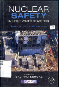 Nuclear safety in light water reactors: Severe accident phenomenology