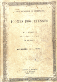 Icones Bogorienses Volume II