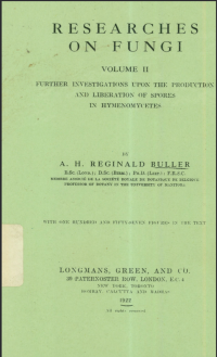 Researches on fungi volume II